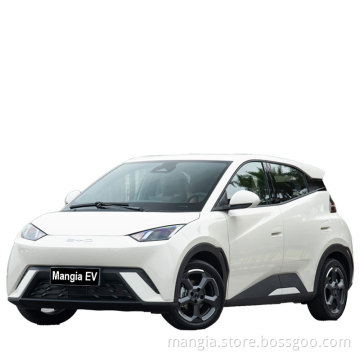 Chinese electric car 2023 new BYD Seagull EV new electric car fully closed 4 wheel electric car adult driving
